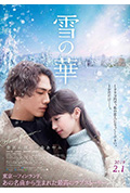 雪之华封面