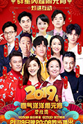 《2019年中央广播电视总台元宵晚会》封面
