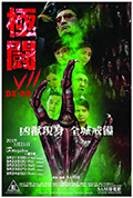 極闘7 DX-29封面