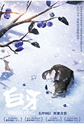 《白牙》封面