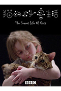 猫的秘密生活封面