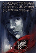 《鸟》封面