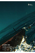 《紫海》封面