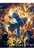 《功夫宗师霍元甲》封面