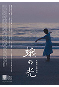 《蛾之光》封面