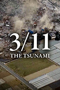 《3/11 - 海啸来袭：最初的3天》封面