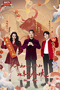 《2021年北京卫视春节联欢晚会》封面