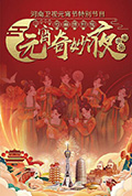 《河南卫视元宵节特别节目—河南博物院元宵奇妙夜》封面