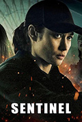 哨兵行动封面