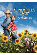 灰姑娘的故事：明星之恋封面