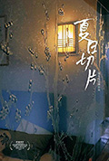 夏日切片封面
