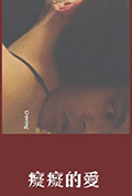 痴痴的爱封面