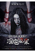 深宅迷案封面