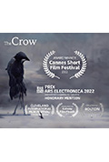 《The Crow》封面
