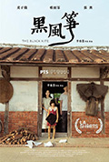 《黑风筝》封面