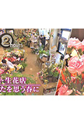 《ドキュメント72時間：宮城・生花店 あなたを思う春に》封面