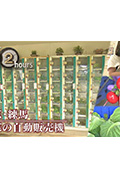 《ドキュメント72時間：東京・練馬 野菜の自動販売機》封面