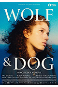狼与狗封面