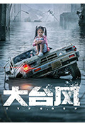 《大台风》封面