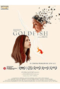 《金鱼》封面