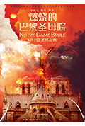 《燃烧的巴黎圣母院》封面