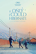 如果我能冬眠封面