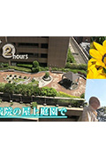 《ドキュメント72時間:大病院の屋上庭園で》封面