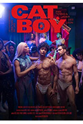 猫男孩封面