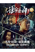 谜案追凶封面