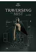 《穿越雾中》封面