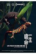 《一生螈命》封面