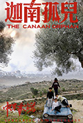 中东大宝荐2：迦南孤儿封面