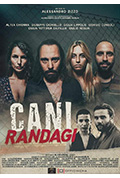 《Cani randag》封面