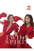 《Twins Spirit 22 演唱会》封面