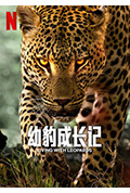 幼豹成长记封面