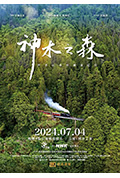 《神木之森：阿里山森林铁道纪行》封面