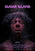 蔗糖岛封面