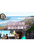 《ドキュメント72時間:お盆の鳥取 海辺の墓地で》封面