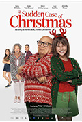 《A Sudden Case of Christmas》封面