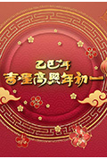 《乙巳年吉星高照年初一》封面