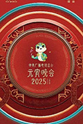 《中央广播电视总台2025年元宵晚会》封面