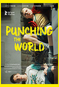 《向世界挥拳》封面
