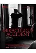 奇迹般的意外封面