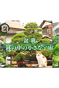 《ドキュメント72時間：盆栽 小さな鉢の中の宇宙》封面