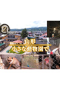 《ドキュメント72時間：山形 小さな動物園で》封面