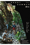 短暂的夏天封面