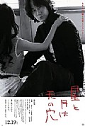 《星与月是天上的洞》封面