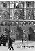巴黎圣母院广场封面