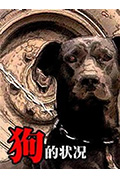 狗的状况封面