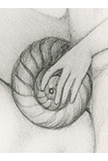 Escargot de Venus封面